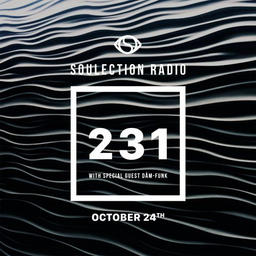 Show #231 w/ Dam-Funk