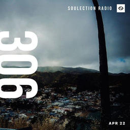 Show #306