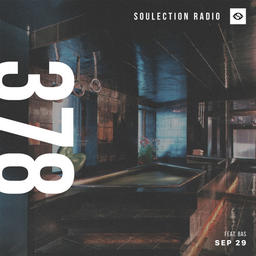 Show #378 w/ Bas