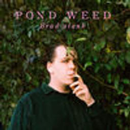 Pond Weed