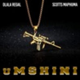 Umshini (feat. Scotts Maphuma)