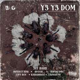 Y3 Y3 DOM (feat. Skyface SDW, Reggie, Kwaku DMC, City Boy, Kawabanga & O'Kenneth)