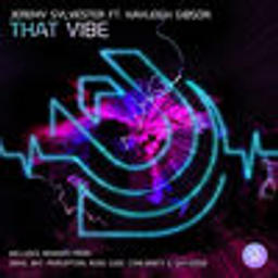 That Vibe (feat. Kayleigh Gibson) [DEM2 Shukdat Mix]