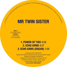 Mr Twin Sister