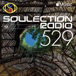 Soulection Radio Show #529