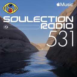 Soulection Radio Show #531