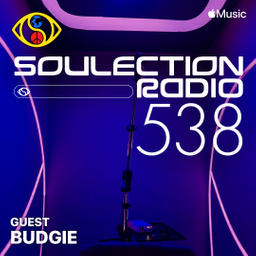Soulection Radio Show #538 ft. Budgie (A Lover's Special)
